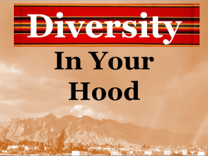 Diversity In Your Hood